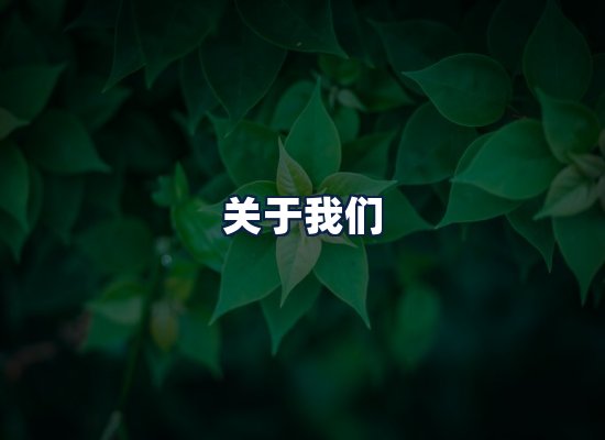 关于我们